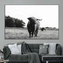 Black and White Highland Cow Wall Art Canvas Print | Rustic