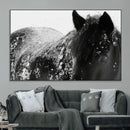 Black Horse in Snow Canvas Print | Winter Horse Wall Art |