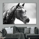 Horse Canvas Print - Winter Horse Snow Wall Art Canvas Print
