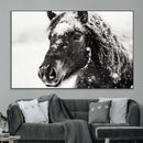 Framed Black and White Horse Wall Art | Ready to Hang and by MyGreatCanvas | Canvas Wall Art Prints | Photo Prints & Wall Decor