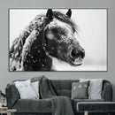 Winter Horse Canvas Print | Large 3-Panel Black White Equine