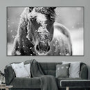 Black and White Horse Winter Wall Art | Ready to Hang and