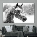Black Horse Winter Wall Art | Ready to Hang and Framed |