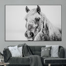 White Horse Wall Art | Ready to Hang and Framed | Winter