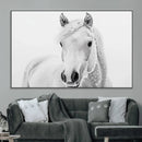 Majestic White Horse Wall Art | Ready to Hang and Framed |