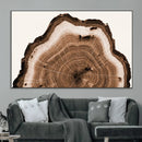Rustic Wood Rings Wall Art | Nature-Inspired Tree Ring