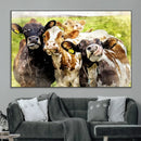 Curious Cows Farmhouse Wall Art | Ready to Hang and Framed