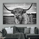 Scottish Highland Cow Wall Art Canvas Print | Ready to Hang