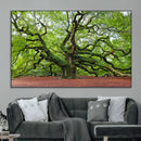 Framed Angel Oak Tree Wall Art - 3-Panel Canvas Prints,