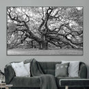 Black White Angel Oak Tree Wall Art - Timeless