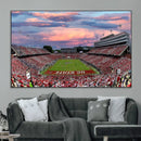 Carter-Finley Stadium Art Sunset Game Triple Canvas Wall Art