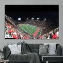 Houston Cougars Football Team Print - Houston TDECU Stadium by MyGreatCanvas | Canvas Wall Art Prints | Photo Prints & Wall Decor