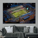 University of North Texas Mean Green Football Artwork,