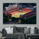University of Illinois Fighting Illini Football Team Print -
