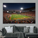 Clemson University Tigers Art Print, Football Team Print -
