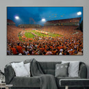Clemson University Tigers Football Team Print - Clemson