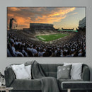Michigan State Spartans Football Team Print - East Lansing