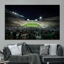 Framed Michigan State Spartans Football Team Print - East