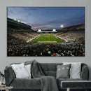 Michigan State Spartans Football Team Print - East Lansing