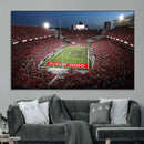 Ohio State University Buckeyes Football Team Print -