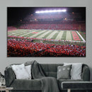 Rutgers University Scarlet Knights Football Team Print -