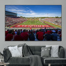 Ball State Cardinals Football Team Print - Muncie Scheumann