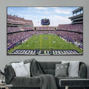 TCU Horned Frogs Football Team Print - Fort Worth Amon G.