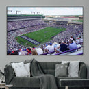 The Texas Christian University TCU Horned Frogs Football
