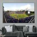 The Duke University Blue Devils Football Team Print - Durham