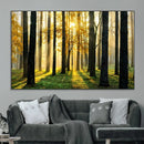 Sunlit Forest Wall Art Canvas Print – Large Framed Woodland