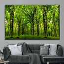 Lush Green Forest Canvas Print | 3-Panel Forest Wall Art | by MyGreatCanvas | Canvas Wall Art Prints | Photo Prints & Wall Decor