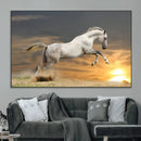 Large Wall Art Canvas Print – White Jumping Horse Sunset