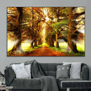 Sunshine in Forest and Trees Wall Art Canvas Print by MyGreatCanvas | Canvas Wall Art Prints | Photo Prints & Wall Decor