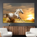 Large Wall Art Galloping White Horse at Sunset Canvas Print