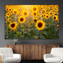 Sunflower Sunshine Wall Art Canvas Print by MyGreatCanvas | Canvas Wall Art Prints | Photo Prints & Wall Decor