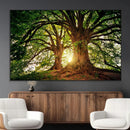 Majestic Ancient Tree Wall Art, NatureCanvas Print, Woodland by MyGreatCanvas | Canvas Wall Art Prints | Photo Prints & Wall Decor