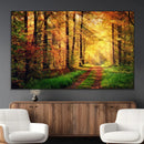 Sunlight Through Trees Wall Art Canvas Print - Autumn Forest