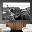 Longhorn Steer Canvas Print Wall Art, Highland Cow Canvas by MyGreatCanvas | Canvas Wall Art Prints | Photo Prints & Wall Decor