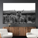 Black and White Highland Cow Canvas Wall Art, Longhorn by MyGreatCanvas | Canvas Wall Art Prints | Photo Prints & Wall Decor