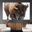 Bison Wall Art Canvas Print For Farmhouse, Wild Animal Wall by MyGreatCanvas | Canvas Wall Art Prints | Photo Prints & Wall Decor