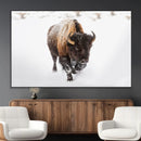 Bison Winter Wall Art Canvas Print For Farmhouse Decor