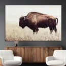 Bison in Field Wall Art Canvas Print For Farmhouse Barn