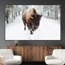 Bison Wall Art Canvas Print For Farmhouse, Animal Canvas