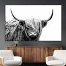 Black White Scottish Highland Cow Cattle Art Print Farmhouse