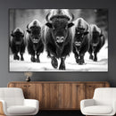 American Bison Art | Buffalo Herd Wall Art Canvas Print, BW