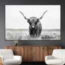 Highland Cow Canvas Wall Art – Majestic Beauty in Black and