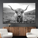 Black White Scottish Highland Cow Canvas Farm Wall Art