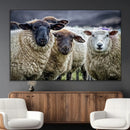 Charming Sheep Portrait Wall Art – Trio of Woolly Companions by MyGreatCanvas | Canvas Wall Art Prints | Photo Prints & Wall Decor