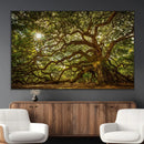 Ancient Angel Oak Tree Art Sunburst Canvas Print-