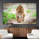 Leopard on the Prowl - Stunning Large Framed Leopard Wall